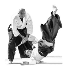 photoaikido adultes