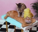 massagechat